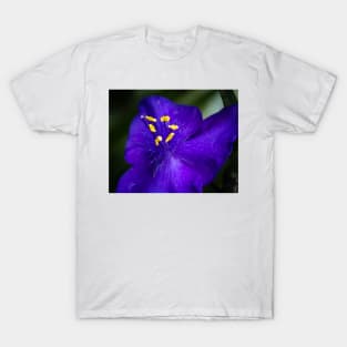 Blue Flower and Stamens T-Shirt